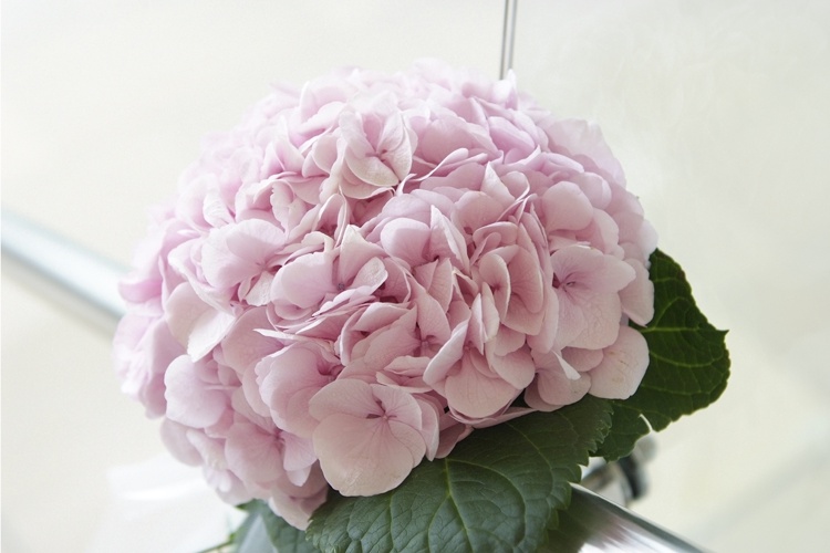 D_HOCHZEIT_GABELHOFEN_01