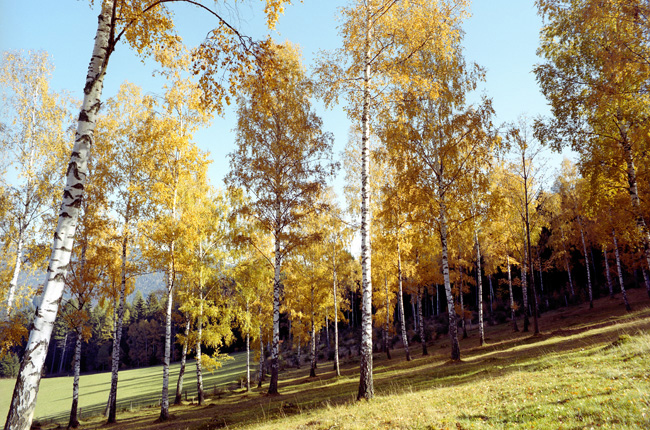 ButterundBrot bei der Arbeit